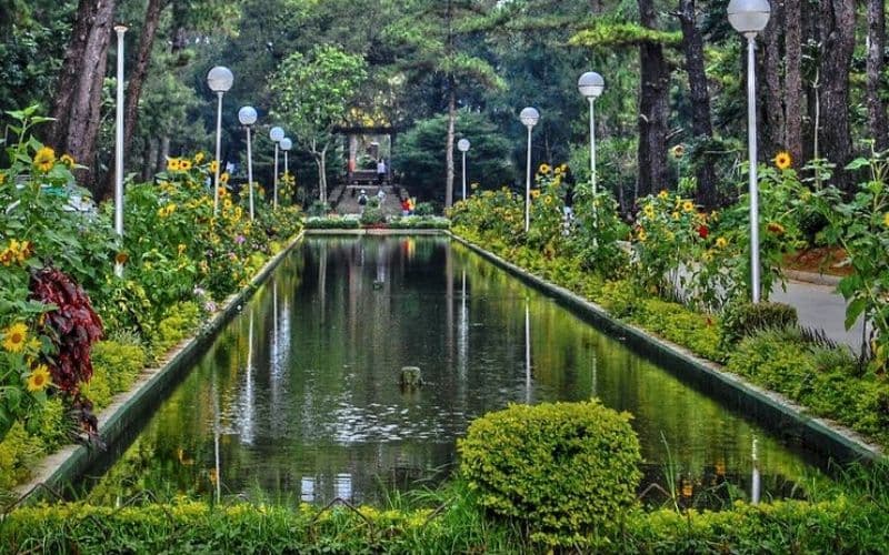 Wright Park in East Baguio
